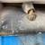 1970-81 2nd Gen Chevy Camaro Z/28 parts 10 thumbnail
