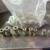 Brass Compression Tube Fitting, Comp Union Coupling Assortment 1/8 1 thumbnail