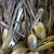 Silverware 2 thumbnail