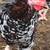 Chicken/ rooster 11 thumbnail