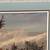 Bald Eagle Print "Power Landing" by Nancy Glazier 3 thumbnail