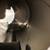 CUSINART ELECTRIC TEA KETTLE 4 thumbnail