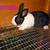 Bunnies 3 thumbnail