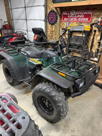 Arctic Cat 1