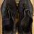 Yeezy 350 onyx size 11 3 thumbnail