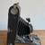 Antique Kodak No.3A Autographic Camera with original manual 3 thumbnail