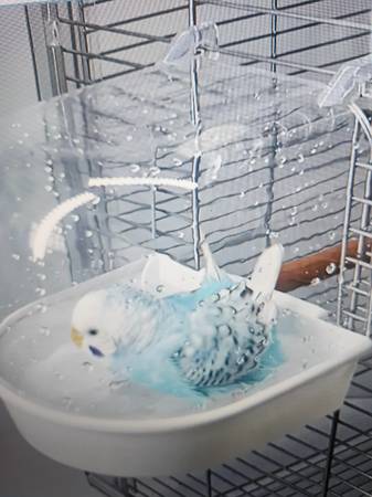 New Big Bird Cage _with Stand------_62"14"x18" (fremont / union city / newark)63874129836291124