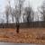 Vacant Lot on Wisconsin River 4 thumbnail