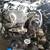Honda Toyota Nissan & More JDM Imported Used Engines & Rebuilt Engines 9 thumbnail