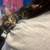 2 kittens 1 thumbnail