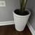 Faux Floor Plant!! 3 thumbnail