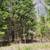 Arkansas  Ozarks 13 thumbnail