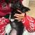 Black Maltese terrier Puppy 1 thumbnail