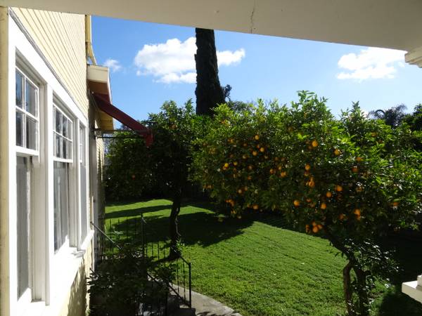 $2,150 / 1br - 495ft2 - Charming One-Bedroom for Rent – Private Entrance, Small Pet Welcome (san jose downtown)64049798911617120