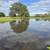 77 Acres in Brazos County 1 thumbnail