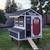 Chicken coop. Ready Today. Duck 🦆 House. 22 thumbnail