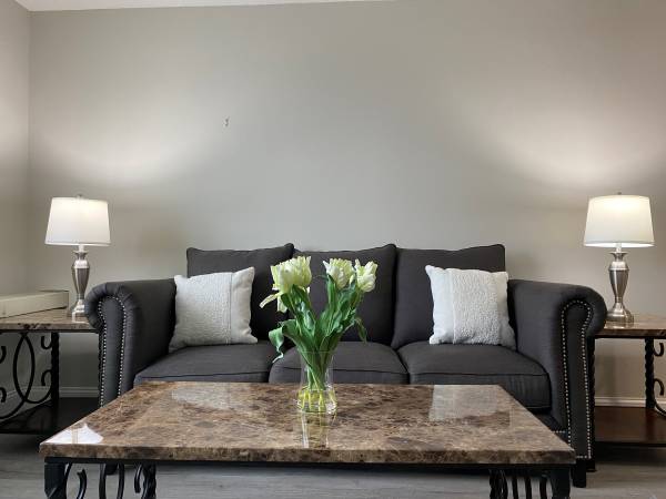 $650 / 1br - 550ft2 - Totalmente amueblado, Departamento de una habitación en tercer piso (Woburn)63699526241281124