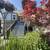 3/2 Apt Lower HookUps NEW Kitchen/ Bath Shared Yard Pets OK Ready Now! 1 thumbnail