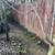 Fencing 6 thumbnail