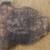North Dakota Centennial 1889-1989 Vintage Souvenir Spoon Fork Knife 4 thumbnail