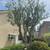 SP TREE SERVICE 13 thumbnail