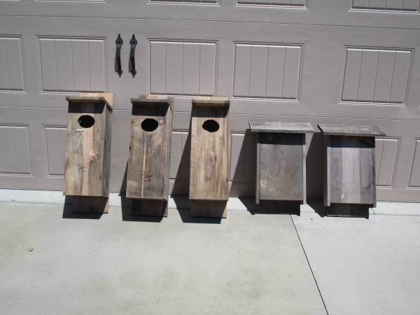 Bat Box 1