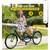 Tricycle Adult foldable 26" 4 thumbnail