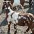 Boer bucks 8 thumbnail