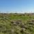 10 Acres AMAZING views Gilroy. Animal property. Duke Drive 12 thumbnail