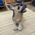 German Shepherd Figurine, Sitting with Upward Glance 4 thumbnail