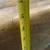 Antique / Vintage RUSTIC Wood Coffee Table Wooden Salt Lick Cobbler 8 thumbnail