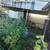 Cut Weeds Blocking Pathway 4 thumbnail