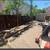 Landscaping/Demolition 6 thumbnail