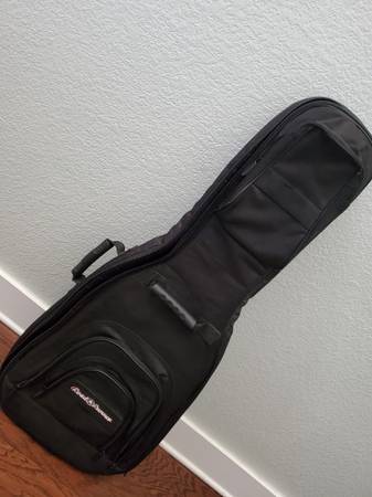 Roadrunner Padded Guitar Bag 1