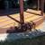Carpentry, Specializing in rough framing.  any type small or large. 7 thumbnail