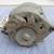 GM DELCO-REMY 32 AMP ALTERNATOR #1100545 12 thumbnail