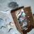 Assorted Seashells and Decorative Items 4 thumbnail