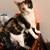 Cats 1 thumbnail