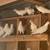 BIRDS - Parakeets and White Pigeons 1 thumbnail