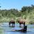 SWEET COTTAGE ON RUSSIAN RIVER RANCH 8 thumbnail
