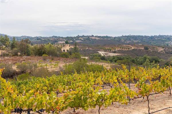 $400,000 4.84 Acres Vacant Land - Build Your Dream Estate in Wine Country (Fallbrook)63878583024771121