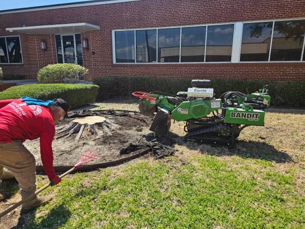 STUMP GRINDING WITHAFFORDABLEPRICES.♻️♻️ 1