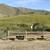 Horse Boarding $275 a month 19 thumbnail