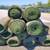 Artificial grass used (bakersfield 1 thumbnail