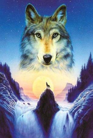 2 Great Wolf Items: Cosmic Wolf  + Wolf Bust Decoration 1