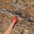 AFFORDABLE ROOF LEAK REPAIR AND REROOF 10 thumbnail