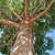 J&E Tree Services LLC 13 thumbnail