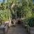 PLANTS PLANTS PLANTS PLANTS 12 thumbnail
