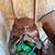 Older Western saddle 3 thumbnail