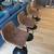 Barstools 1 thumbnail